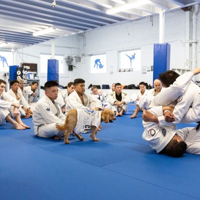 martial arts training session