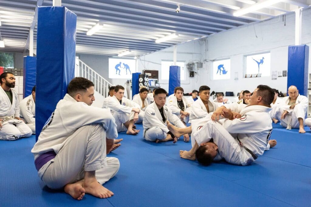 Integrated Combat Centre Adult Brazilian Jiu Jitsu Classes Peakhurst & Canterbury